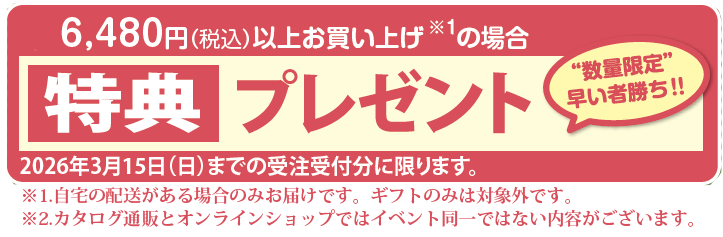 春のキャンペーン