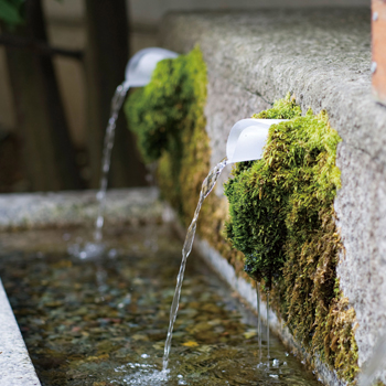 石井味噌湧水