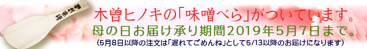 石井味噌母の日味噌ベラ付