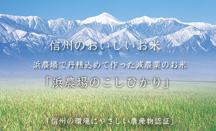 信州の美味しいお米
