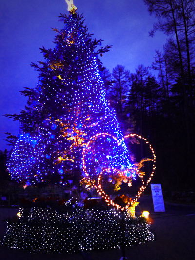 クリスマスツリー